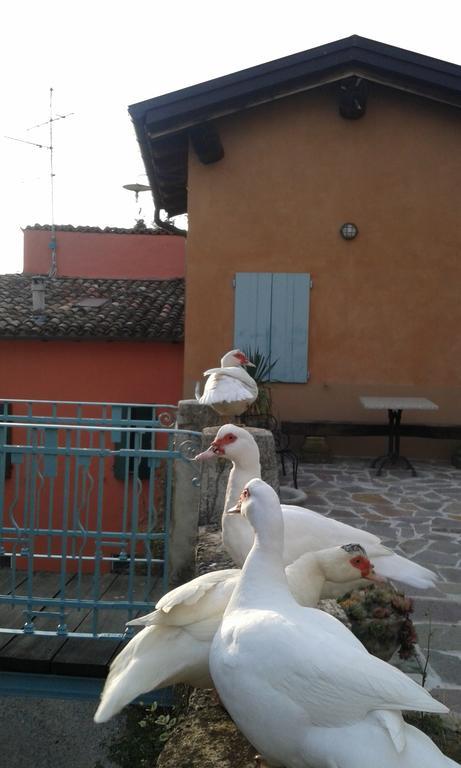 Agriturismo Il Gelso Traversetolo ภายนอก รูปภาพ