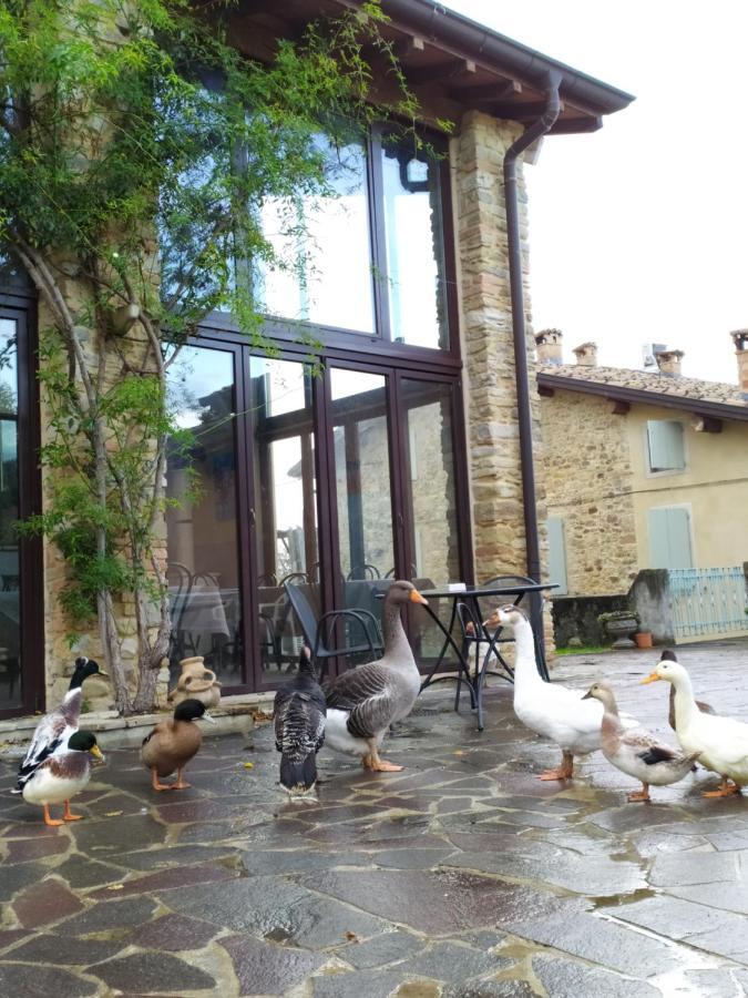 Agriturismo Il Gelso Traversetolo ภายนอก รูปภาพ